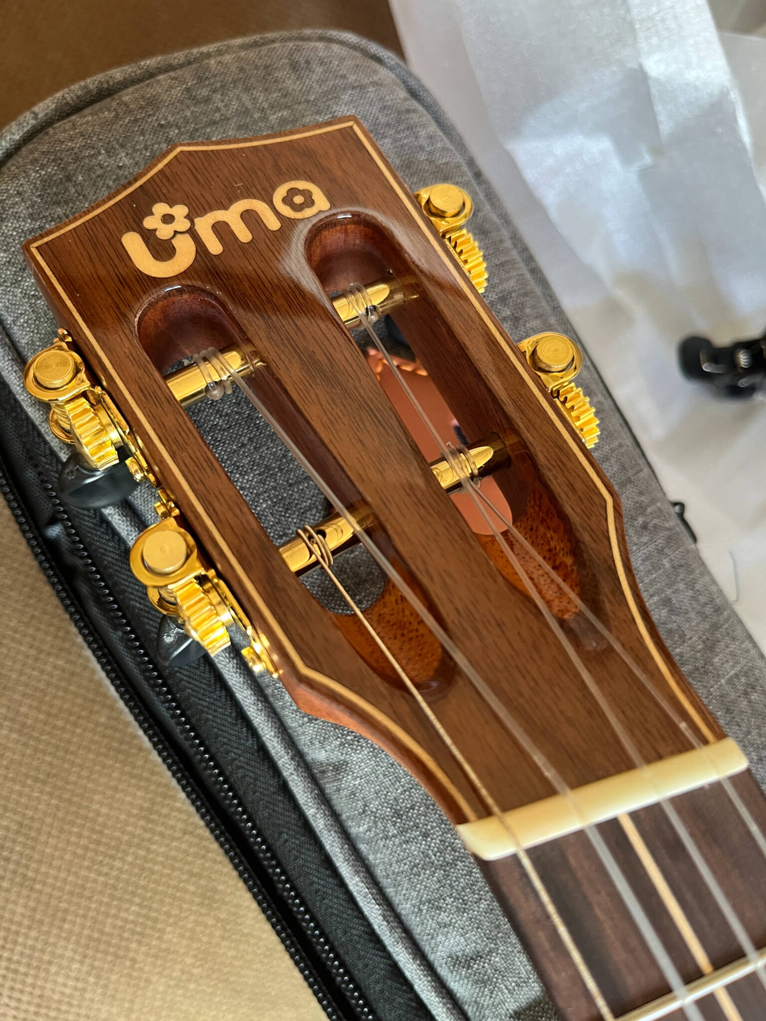 Uma Fan fret ukulele headstock.