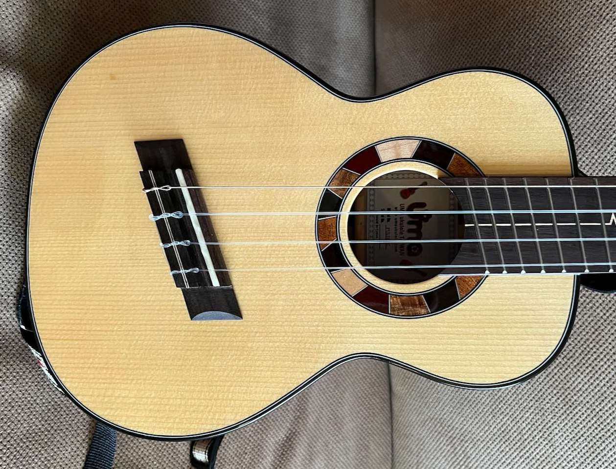FAN-Tastic Ukulele Fretboard
